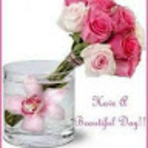 Meet your Posher, Ali